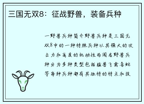 三国无双8：征战野兽，装备兵种